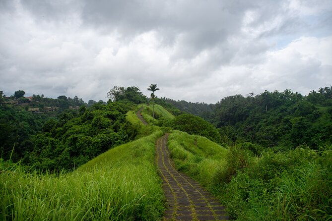 Bali Airport Pickup Transfer to Ubud Area (Private) - What to Expect from Your Bali Airport to Ubud Transfer