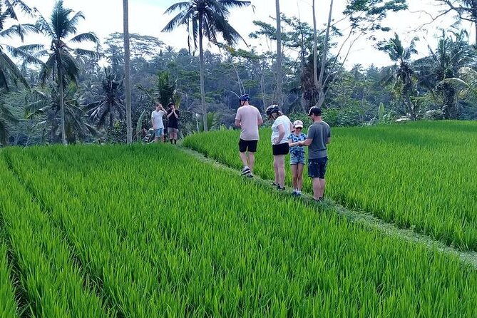 Bali Countryside Cycling Tours - Breaking Down the Itinerary: What You’ll Experience