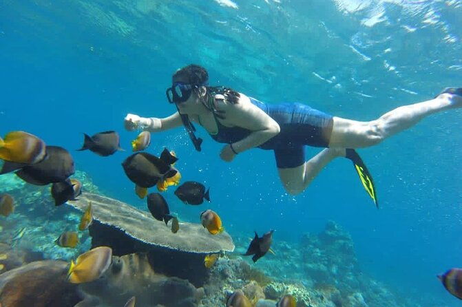 Bali Experience Blue lagoon snorkeling and hidden waterfall - Key Points