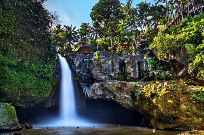 Bali Full-Day Tours : Waterfall and Ubud Destination Trip - Bali Full-Day Tours : Waterfall and Ubud Destination Trip