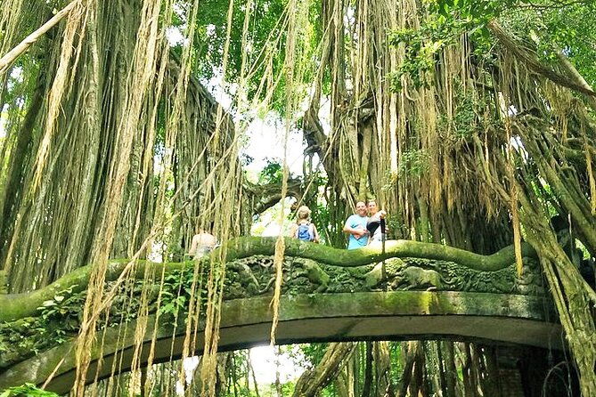 Bali Holy Bathing Ritual and Ubud Highlights tour - A Complete Breakdown of the Bali Holy Bathing Ritual and Ubud Highlights Tour