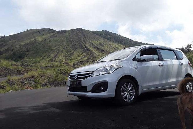 Bali Private Car or Minibus Charter With Driver - Bali Private Car or Minibus Charter With Driver: An Honest Review