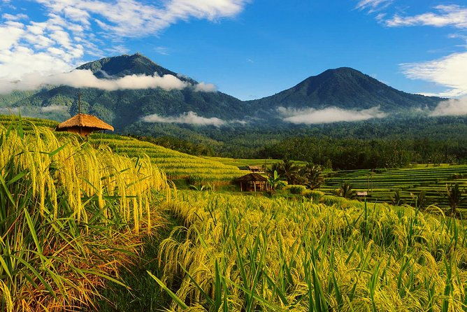 Bali Private Driver - Bali customized private tour - What You Can Expect from the Bali Private Driver Service