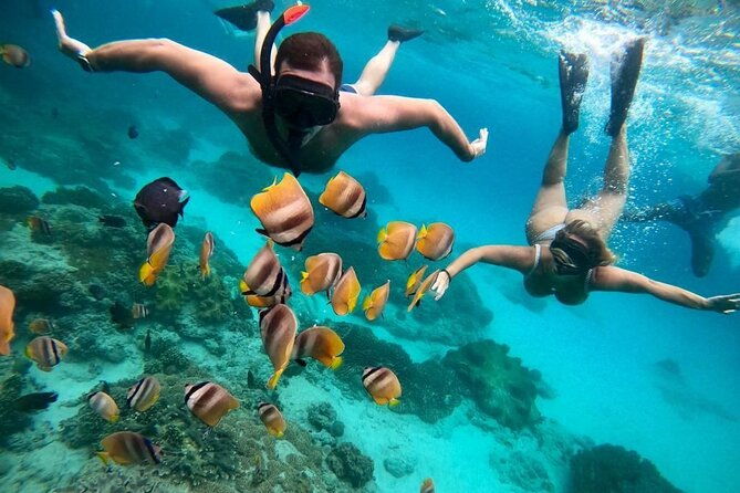 Bali Snorkeling At Bluelagoon Beach With Lunch Private Transport - Key Points