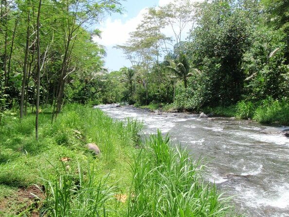 Bali White Water Rafting at Telaga Waja River - Key Points  