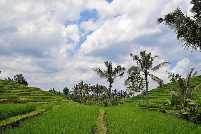 Balliswing.Feel the natural breeze as you paddle a giant swing in the stunning scenery!Instagram-worthy photo spot / Round trip hotel transfers included - Introducing the Bali Swing Experience: What You Need to Know