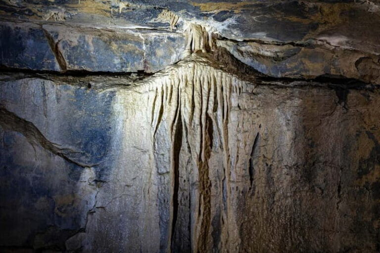 Ballyvaughan: Aillwee Burren Experience Entry Ticket - The Itinerary in Detail