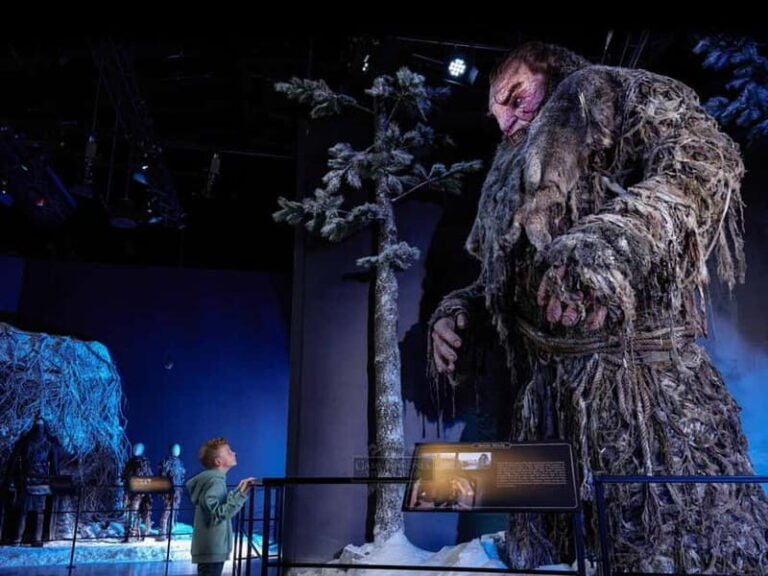Banbridge: Game of Thrones Studio Entry & Tea with Transfers - Themed Afternoon Tea: A Feast for Fans and Foodies