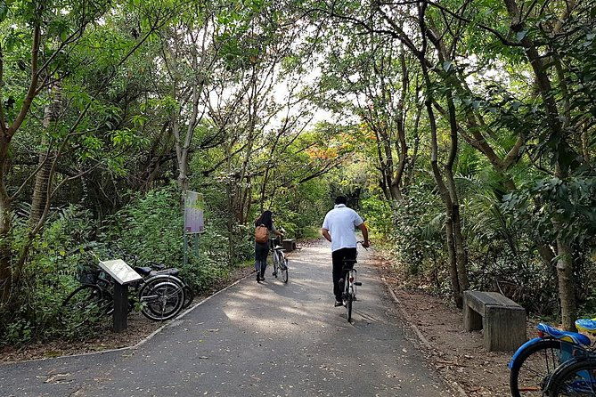 Bangkok's Green Lung Jungle Cycling Adventure Tour - A Closer Look at the Tour Experience