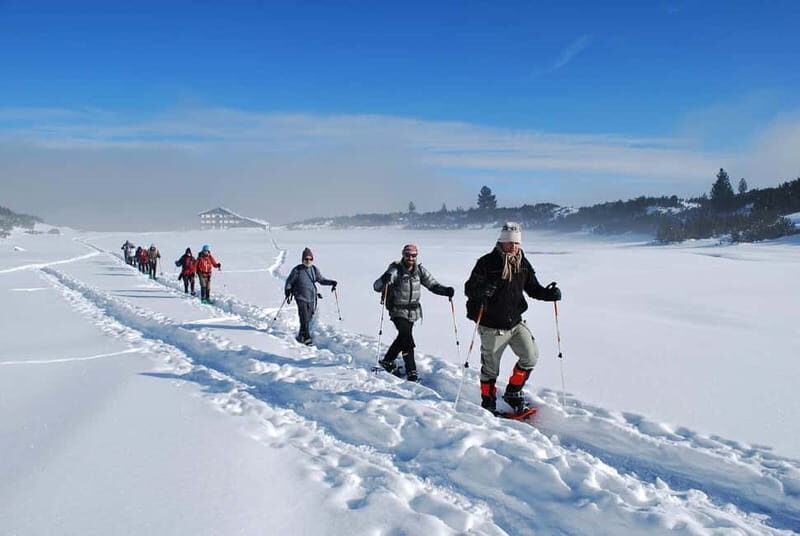 Bansko: Easy snowshoeing Pirin National Park & thermal spa - Overview of the Tour Experience