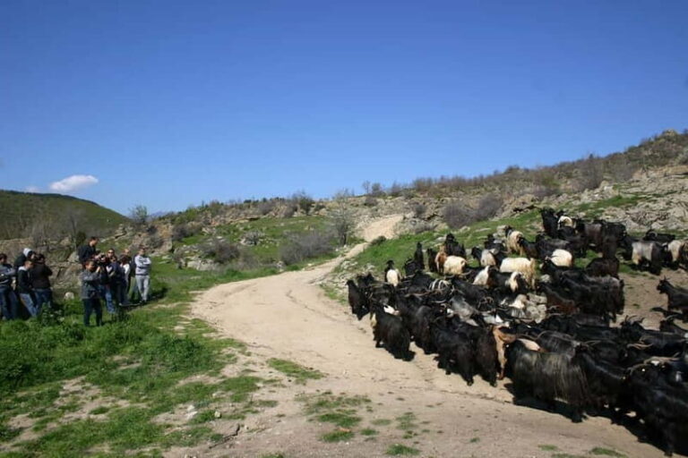 Bansko: Rare Bulgarian Pets Experience - Why This Tour Is Worth Considering