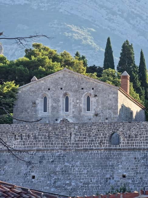 Bar: City Tour with Museum and Old Olive Tree Visit - Detailed Breakdown of the Itinerary