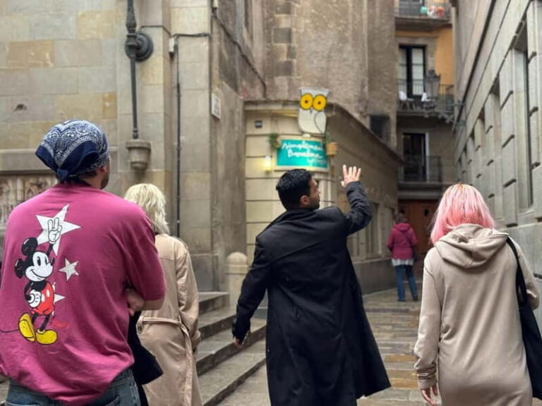 Barcelona: 1 Hour Gothic Quarter and El Born Walking Tour - What to Expect on the Tour