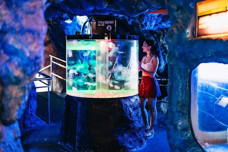Barcelona Aquarium: Entry Ticket - What Can You Expect During Your Visit?