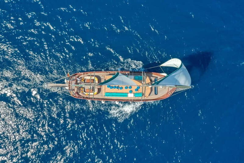 Barcelona: Boat and Supercar Driving Experience - The Itinerary: What You Can Expect