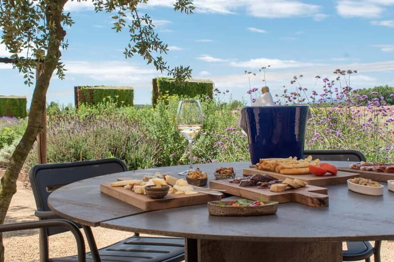 Barcelona: Dalí, Food & Wine Tour with Tastings - Practical Details and Tips for the Tour