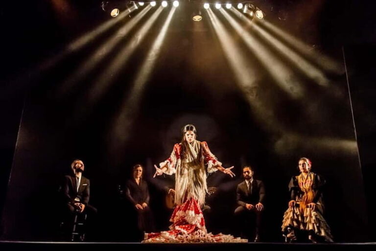 Barcelona: "Inspiration" Live Flamenco Show - Who Is This Tour Best For?
