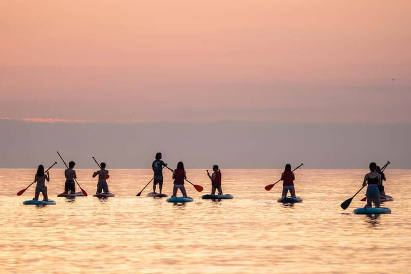 Barcelona: Paddlesurf Rental Barceloneta beach (75min) - What to Expect During Your Paddle Session