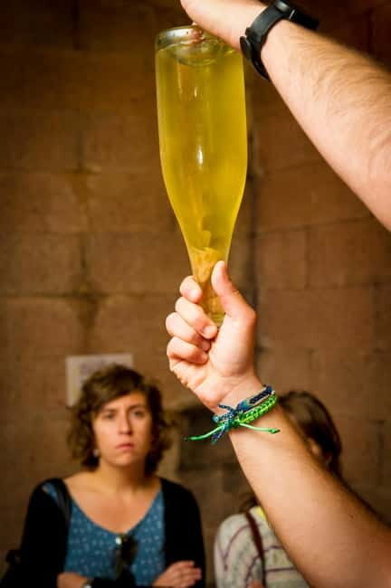 Barcelona: Penedès Wine and Cava Tour with Workshop - The Journey From Barcelona to Penedès