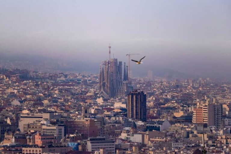 Barcelona: Sagrada Familia Skip The Line Tour with Tickets - Why This Tour Is a Great Choice
