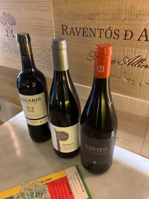 Barcelona: Wine and tapas tasting - Who Should Consider This Tour?