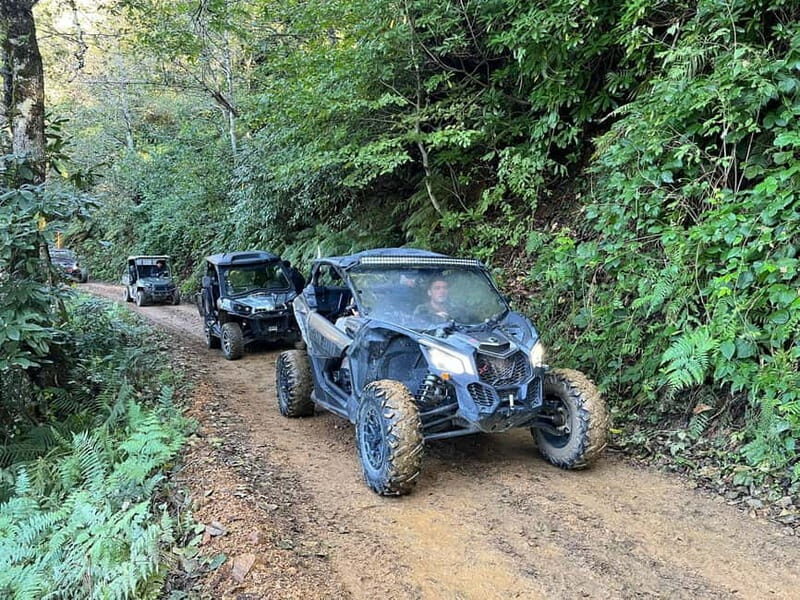 Batumi: Mtirala ATV, Buggy and Horse Riding Adventure Trip - Who will love this tour?