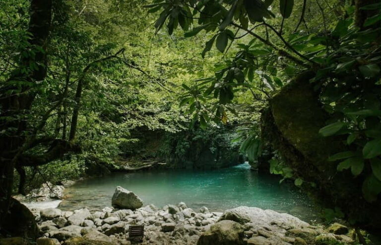 Batumi to Mtirala National park - Half day hiking group tour - Exploring Mtirala National Park from Batumi: What You Can Expect