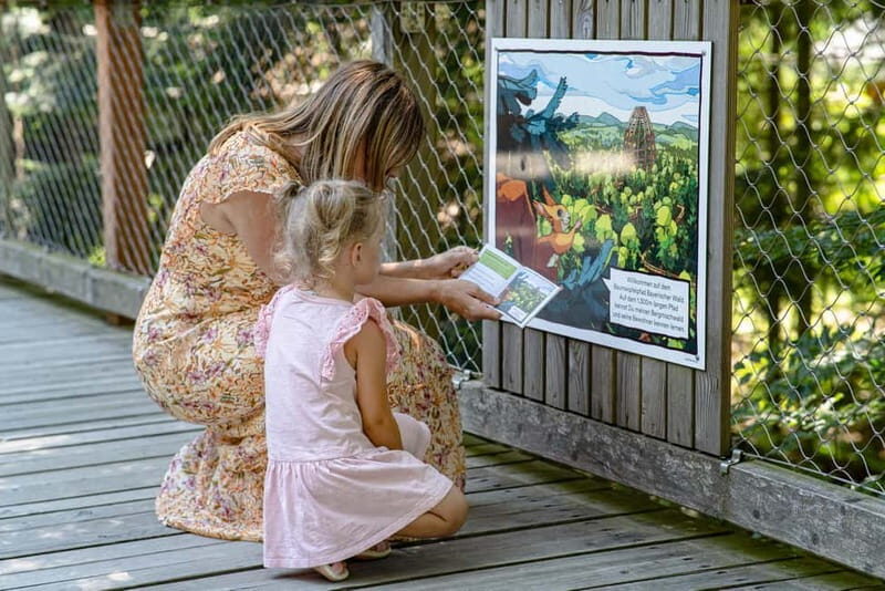 Bavarian Forest: Treetop Walk & Egg Tower Experience - Who Will Love This Tour?