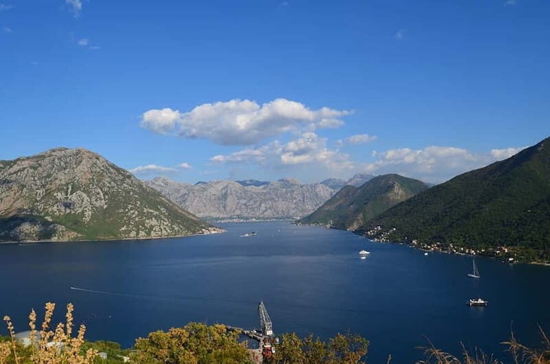 Bay of Kotor: 2.5-Hour Kayak Tour - Authentic Reviews and Extra Insights
