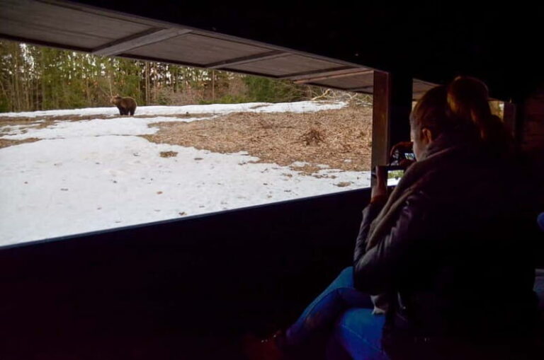 Bear watching in the Land of Volcanoes - Transportation and Comfort