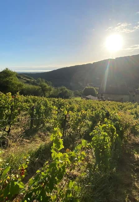 Beaujolais: Tours, wine tastings, and bistronomic restaurant - Starting Point: Belleville-en-Beaujolais
