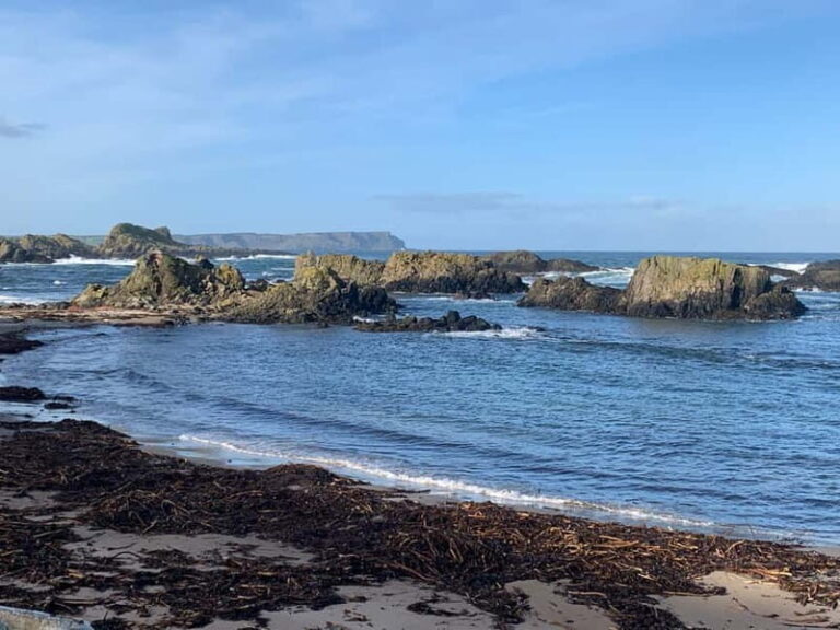 Belfast : Giants Causeway 8 hour private day tour - Transportation, Timing, and Pricing