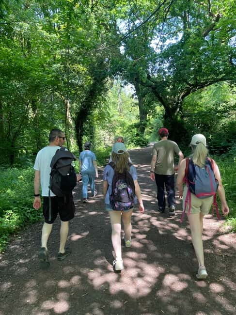 Belfast: Sir Thomas & Lady Dixon Park Walk & Alfresco Picnic - Why This Tour Stands Out