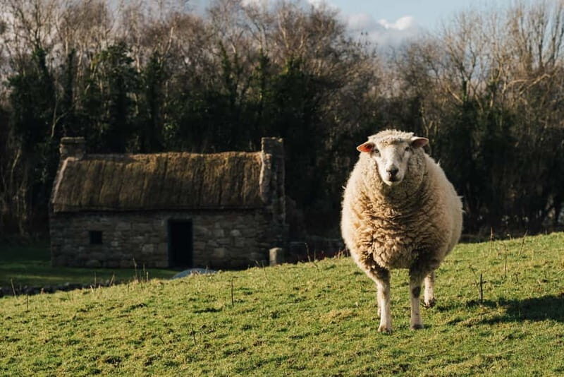Belfast: Ulster Folk Museum Entry Ticket - What Can You Expect During Your Visit?