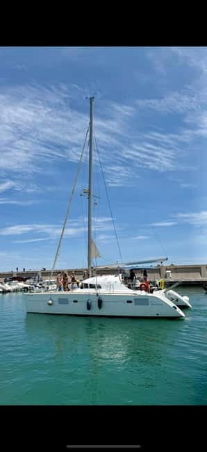 Benalmádena 2-hour Group Tour with Dolphin Watching - What Makes This Tour Stand Out?