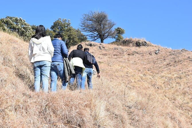 Benog Trek into the Wild - An Honest Look at the Benog Trek into the Wild