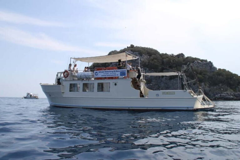 Bergeggi Island: Boat trip with a swimming stop - Key Points