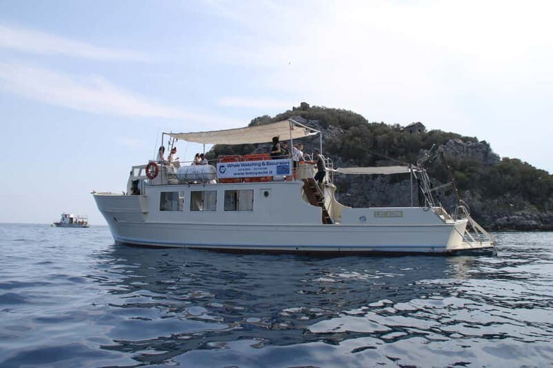 Bergeggi Island: Boat trip with a swimming stop - Key Points