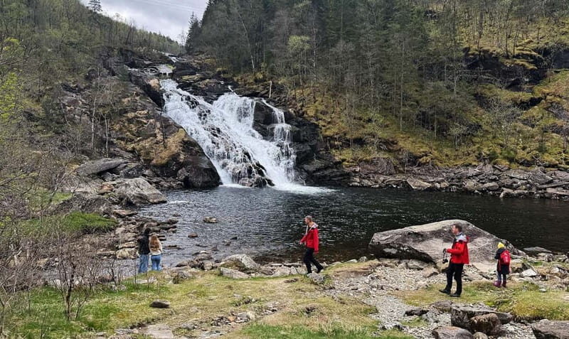 Bergen: Hardangerfjord Waterfall Safari Tour - Who Will Love This Tour?