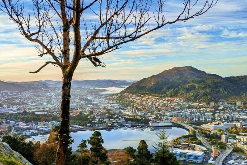 Bergen Like a Local: Culture, Views, and the Stave Church - Transport, Timing, and Group Size