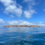 Berlenga Island: Kayak Tour and Glass-bottom Boat Trip - The Itinerary Breakdown: What to Expect