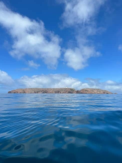 Berlenga Island: Kayak Tour and Glass-bottom Boat Trip - The Itinerary Breakdown: What to Expect