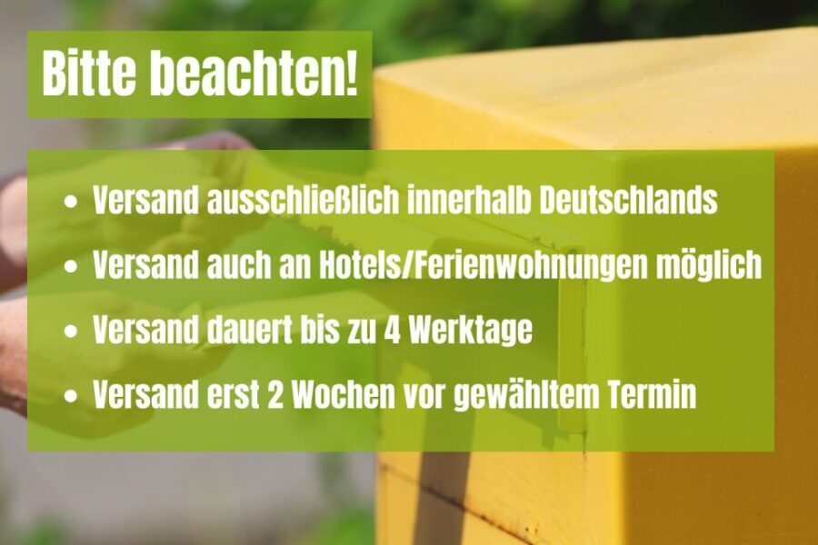 Berlin: Self-Guided Family and School Class Scavenger Hunt - Practical Tips for Your Scavenger Hunt