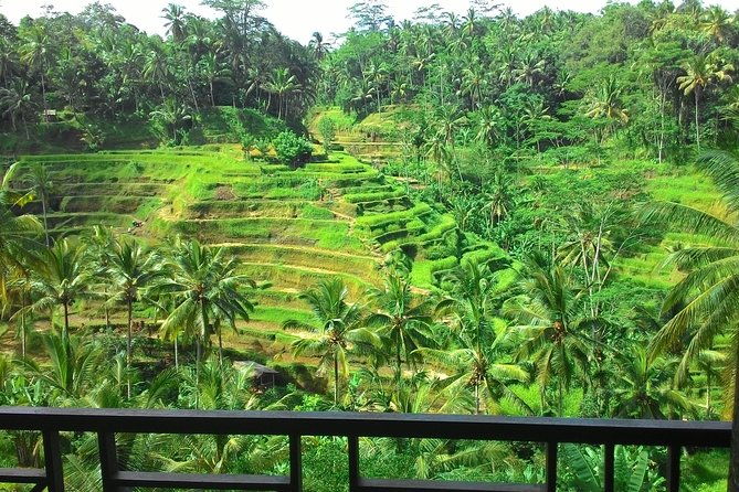Best of Bali : Ubud, Rice terrace, Tanah lot temple with Lunch - Exploring Bali in a Day: An Overview