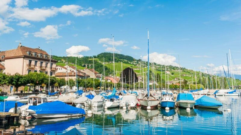 Best of Geneva: Private Walking Tour with a Local - Key Points