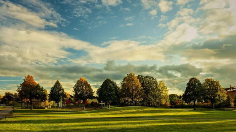 Best of Linköping: Private Walking Tour with a Local - The Itinerary: What You Can Expect