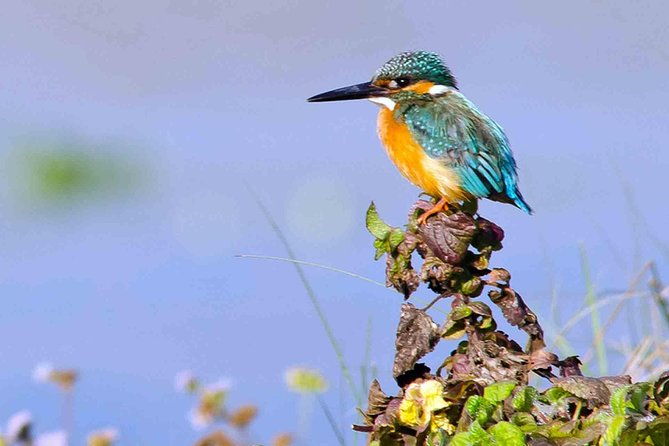 Best of Nepal Luxury Adventure Tour Package - 9 Days - Exploring the Best of Nepal in Luxury and Adventure: A Detailed Review
