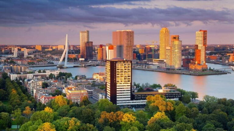 Best of Rotterdam: Private Walking Tour with a Local - What’s Included and What to Budget For
