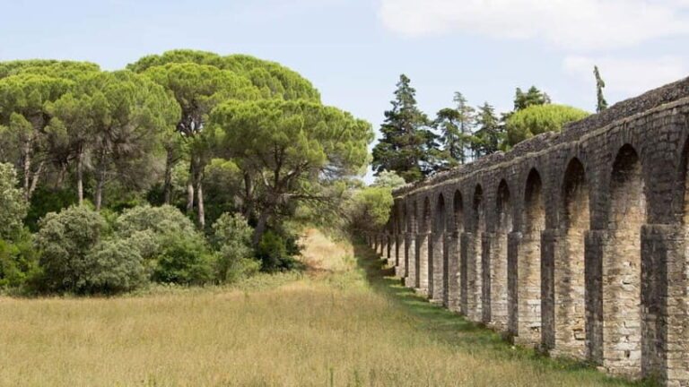 Best of Tomar: Private Walking Tour with a Local - Practical Details and Value