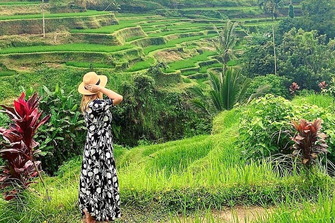 Best of Ubud - Kintamani Volcano View - Private Tour - Exploring the Itinerary in Detail